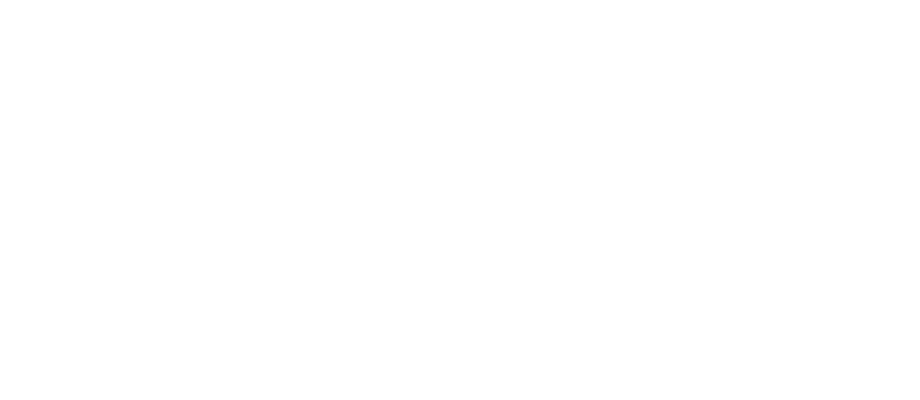 Vlad Casino logo
